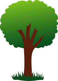 Description: C:\Users\Richard\Documents\WebPage\New\Soash\Images\tree.gif